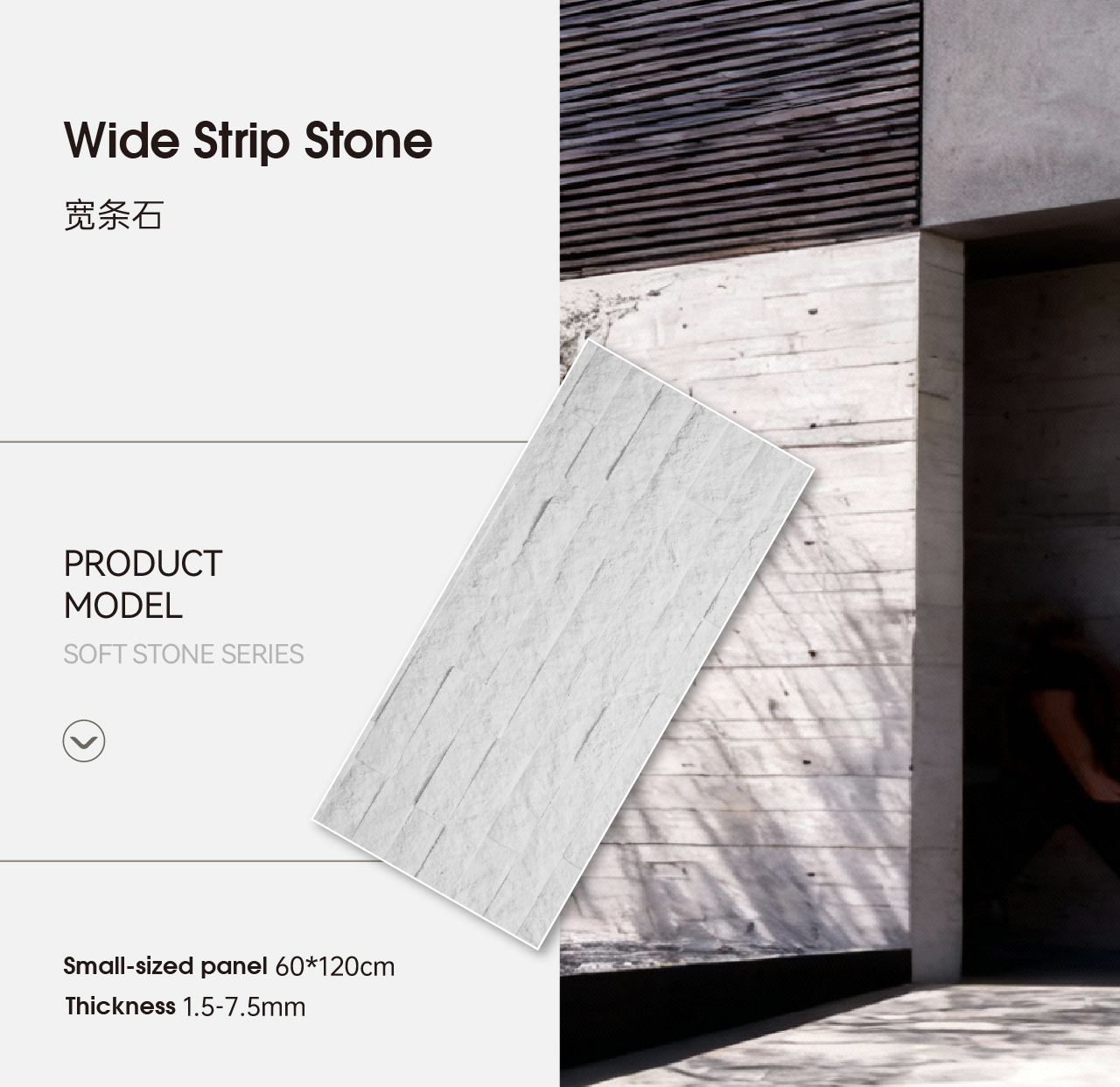 画板 16 副本 2W1016-2.jpg